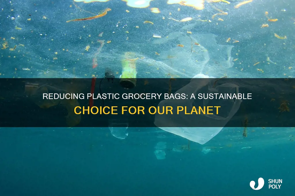 should the use of plastic grocery bags be reduced