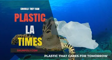 Plastic's Future: Ban or Innovation?