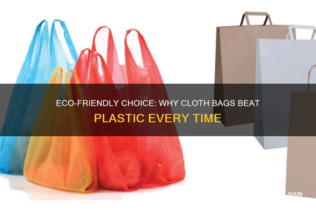should use cloth bags instead of plastic bags