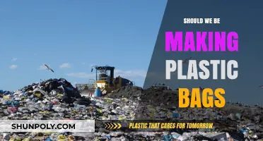 Plastic Bags: Environmental Impact vs. Convenience – Should We Continue?