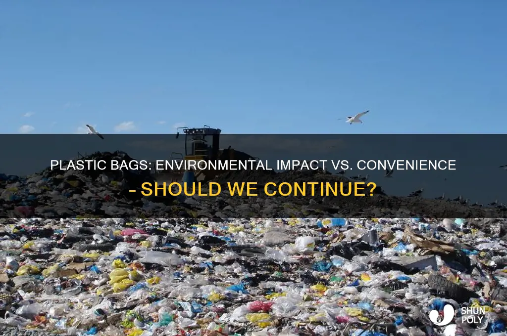 should we be making plastic bags
