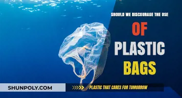 Plastic Bag Dilemma: Should We Discourage Their Use for a Greener Future?