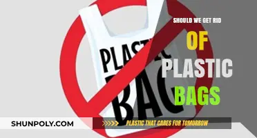 Banning Plastic Bags: A Sustainable Solution or Unnecessary Inconvenience?