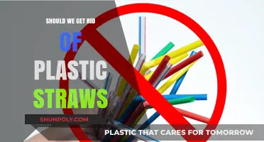Ditching Plastic Straws: A Small Step or Necessary Change?