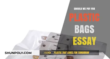 Should We Pay for Plastic Bags? Exploring the Pros and Cons