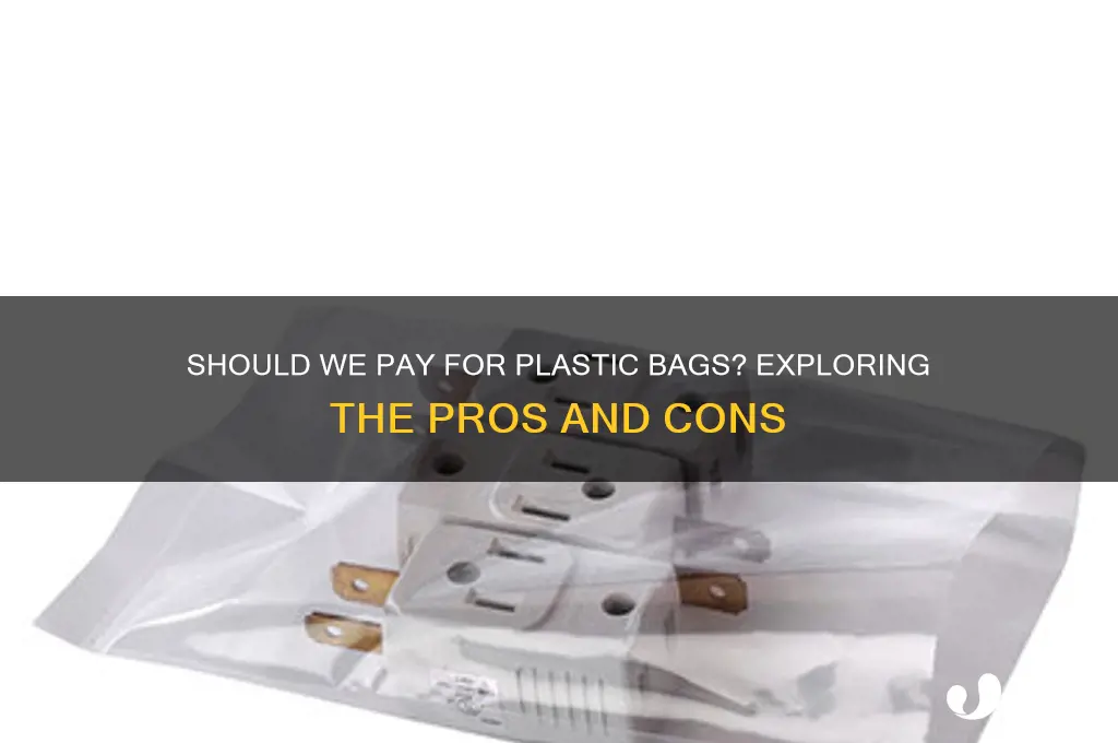 should we pay for plastic bags essay