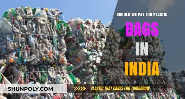 Should India Charge for Plastic Bags? A Sustainable Solution Debate