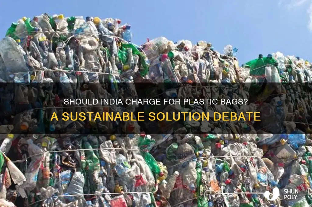 should we pay for plastic bags in india
