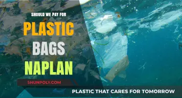 Should We Pay for Plastic Bags? NAPLAN Debates Environmental Costs