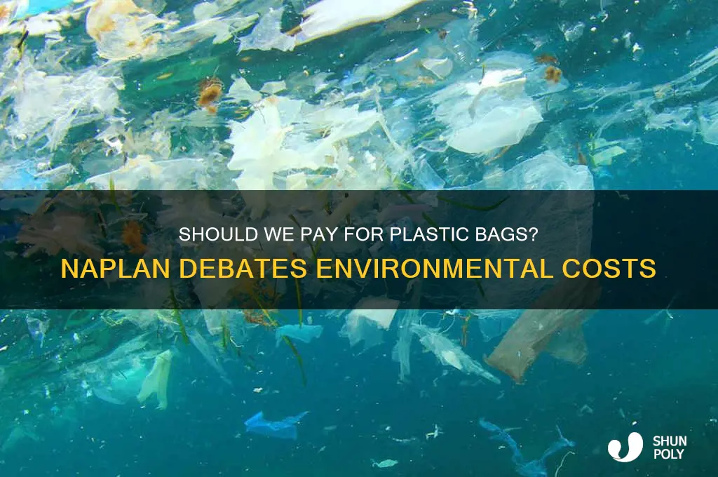 should we pay for plastic bags naplan