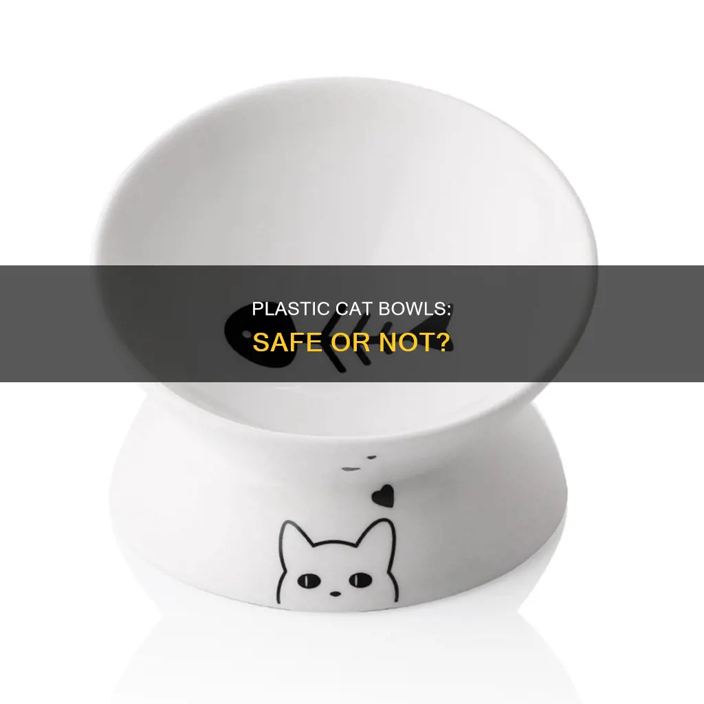 should you avoid plastic cat bowls