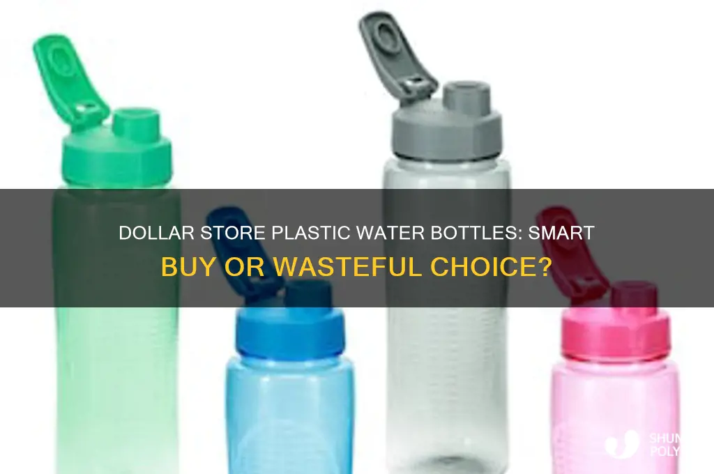 should you buy plastic water bottles at the dollar store