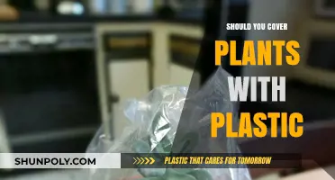 Protecting Plants: To Plastic or Not?