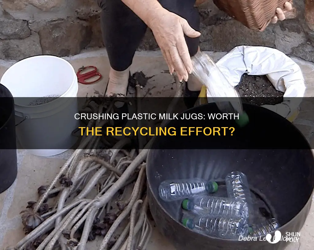 should you crush plastic milk jugs for recycling