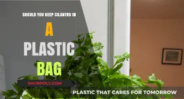 Cilantro Storage Tips: Plastic Bag or Not? Freshness Secrets Revealed