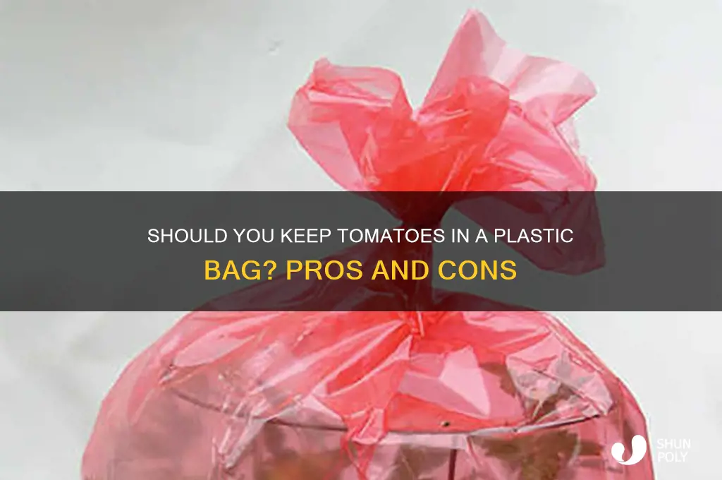 should you keep tomatoes in plastic bag