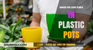 Plastic Pots: Good or Bad for Plants?
