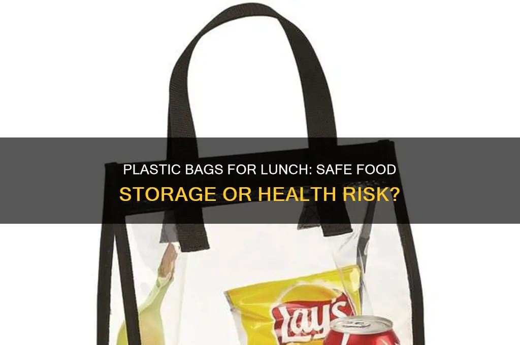 should you put food in plastic bag in lunch bag