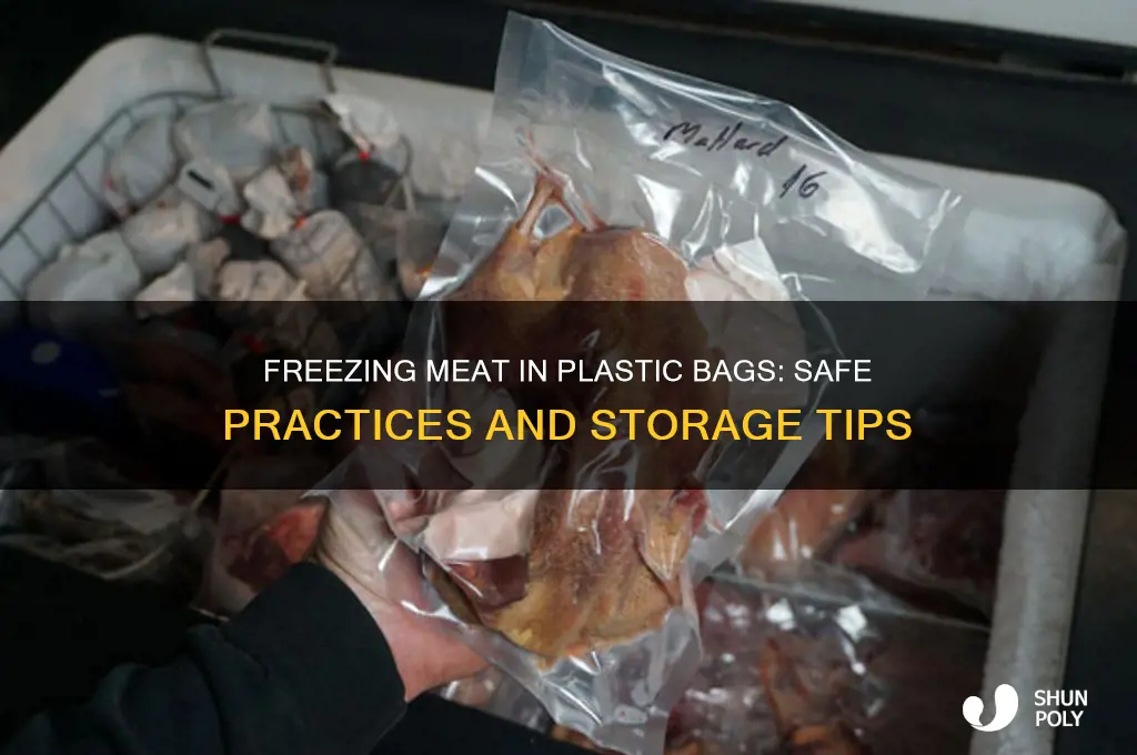 should you put meat with plastic bag in freezer
