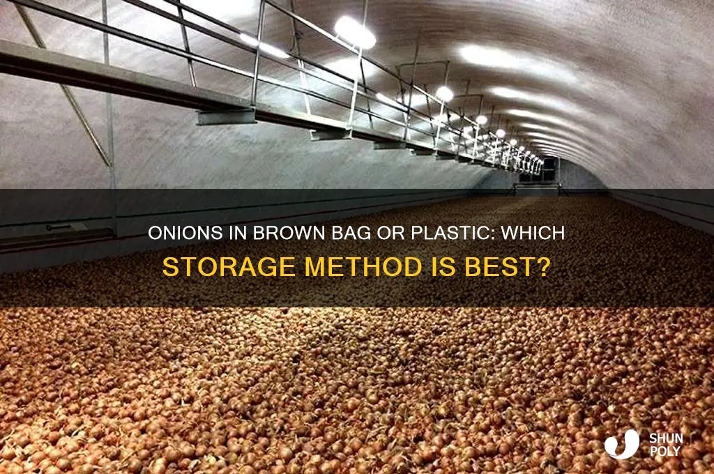 should you put onions in brown bag or plastic