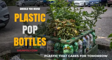 Reusing Plastic Pop Bottles: Eco-Friendly or Health Hazard?