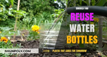 Reusing Water Bottles: Eco-Friendly Choice or Health Hazard?