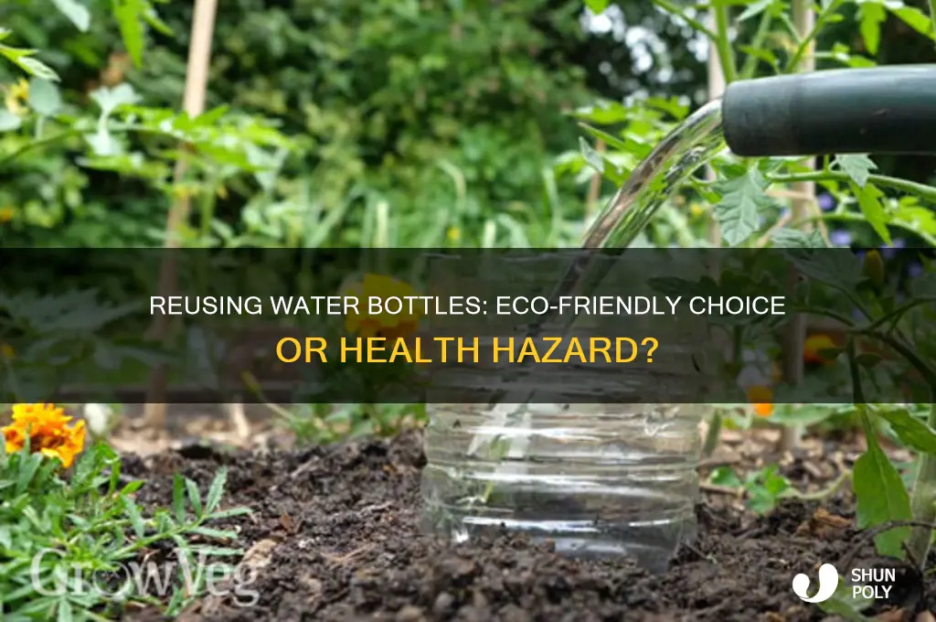 should you reuse water bottles