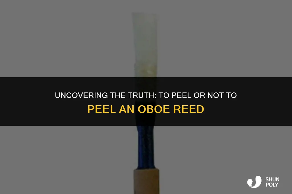 should you take the plastic off a oboe reed