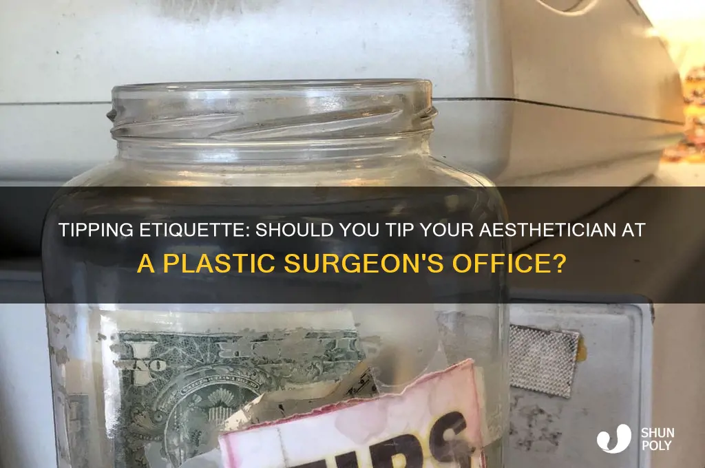 should you tip the aesthetician in a plastic surgeon