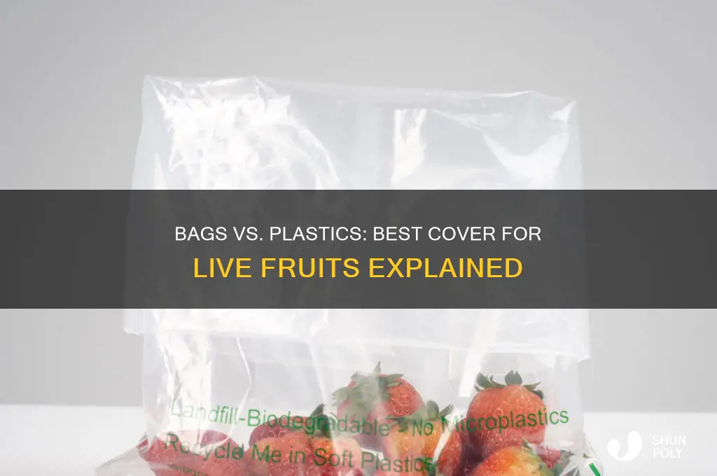 should you use bags or plastics to cover live fruits