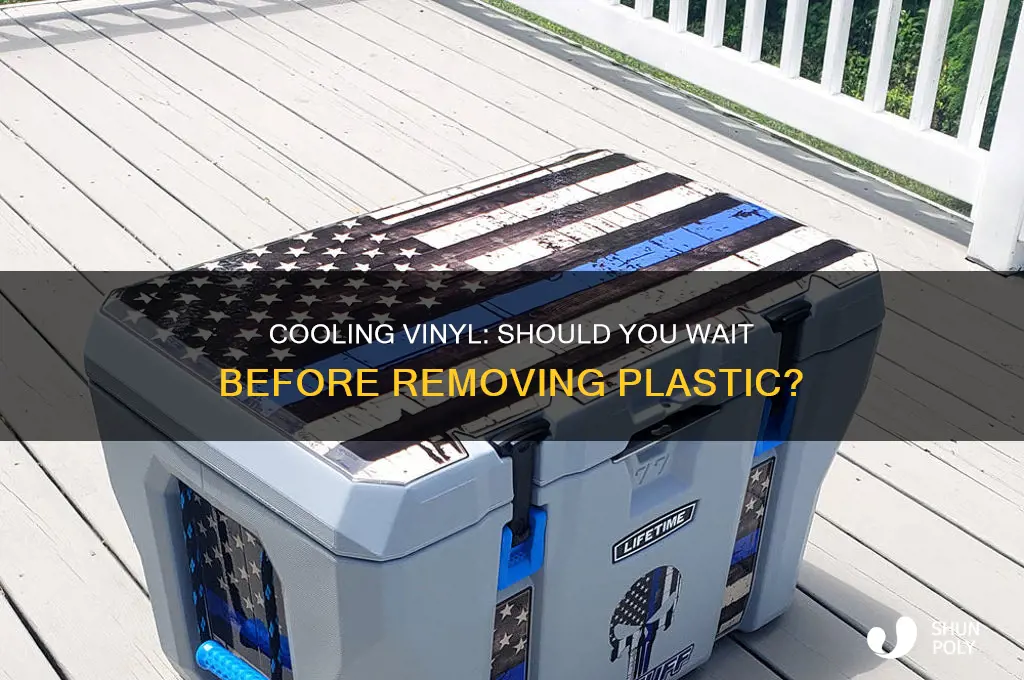 should you wait for vinyl to cool before removing plastic