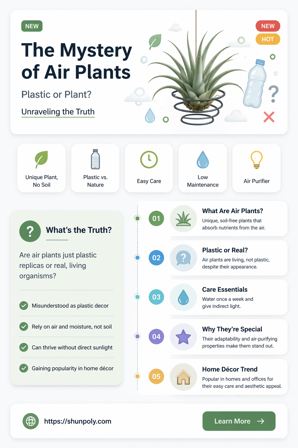 are air plants feels like plastic
