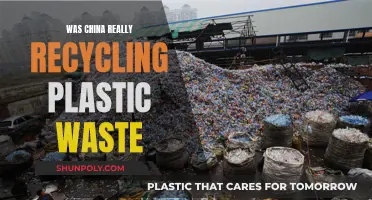 China's Plastic Waste: Real Recycling or Greenwashing?
