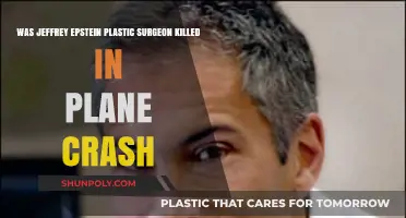 Jeffrey Epstein's Plastic Surgeon's Plane Crash Death: Accident or Foul Play?