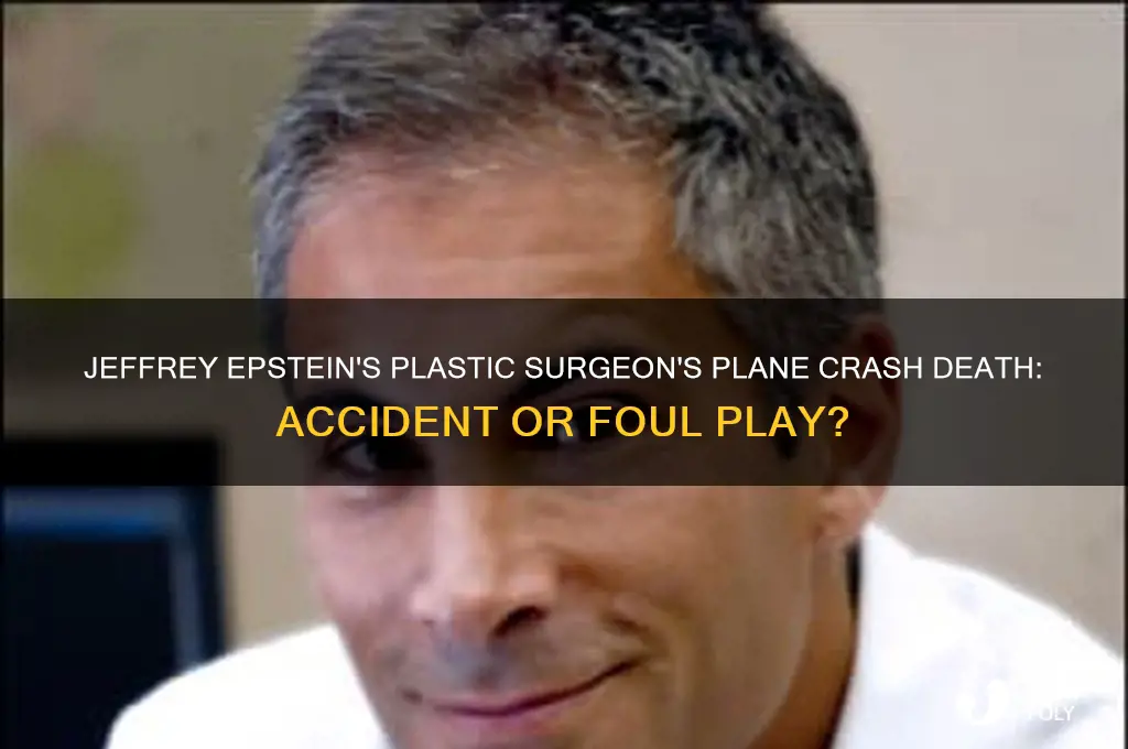 was jeffrey epstein plastic surgeon killed in plane crash