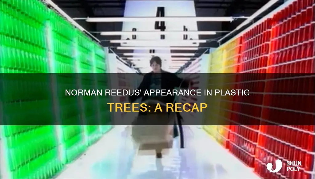 was norman reedus in plastic trees