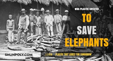 How Plastic Invention Affected Elephant Survival