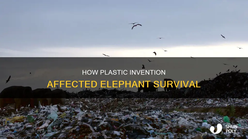 was plastic created to save elephants
