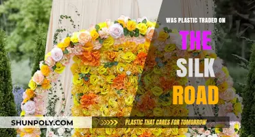 Plastic on the Silk Road: A Historical Trade Mystery