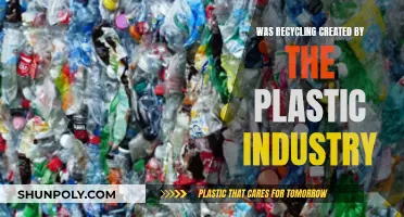Plastic Industry's Recycling: Who Benefits?