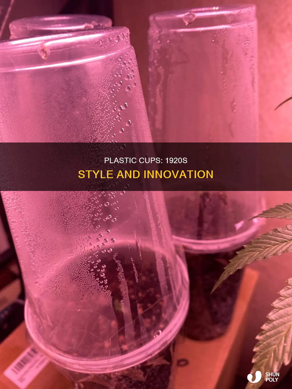 was there any plastic cup in 1920