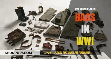 Did WWI Soldiers Use Plastic Bags? Unraveling Historical Myths