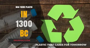 Plastic Origins: 1300 BC and the First Synthetic Materials
