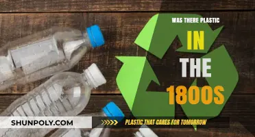 Plastic's Ancient Origins: 1800s and Beyond