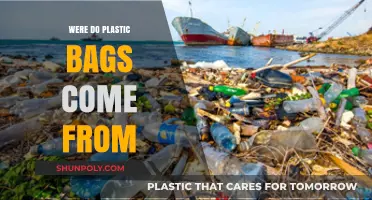 Tracing the Origins: Where Do Plastic Bags Really Come From?