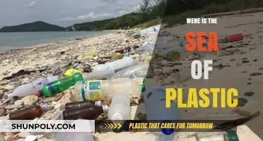 The Plastic Sea's Location: A Global Concern