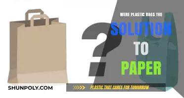 Plastic Bags vs. Paper: A Sustainable Solution or Environmental Trade-Off?