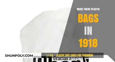 Plastic Bags in 1918: Unraveling the History of Everyday Items