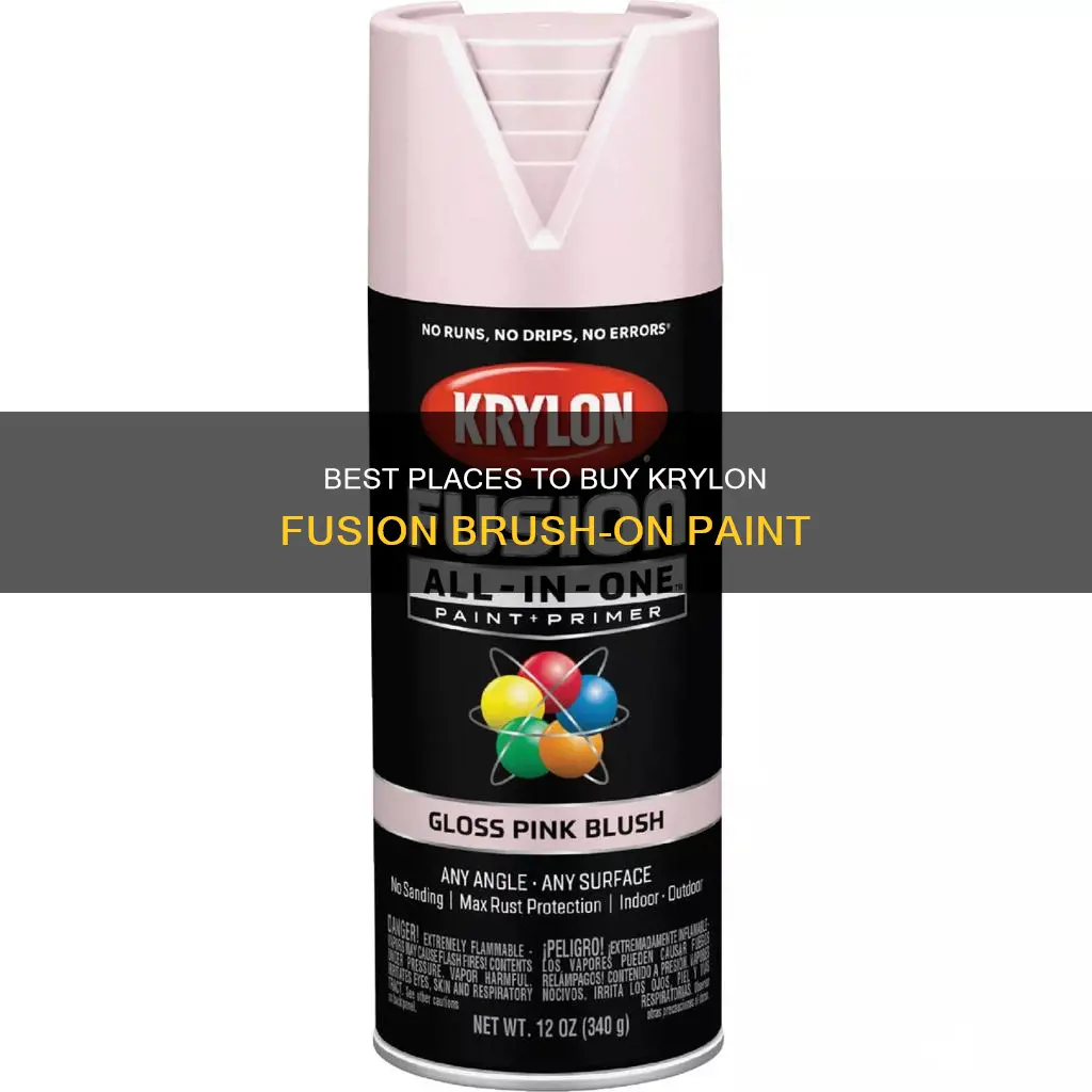 were to buy krylon fusion brush on paint for plastic