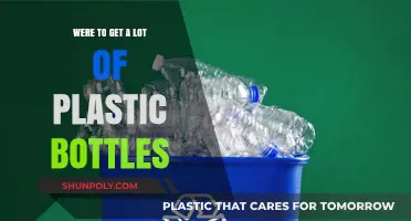 Where to Find Abundant Plastic Bottles for Recycling and Reuse